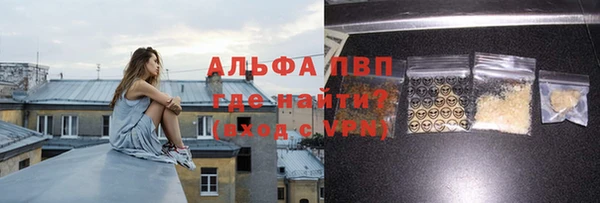 прущие грибы Няндома