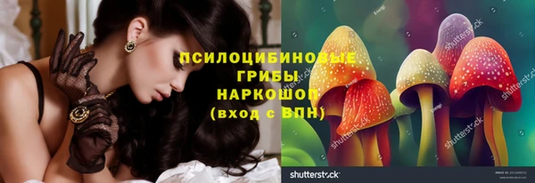 эйфоретик Новокубанск