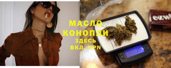 гашик Новодвинск