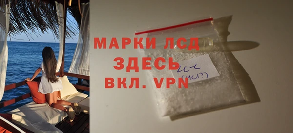 прущие грибы Няндома