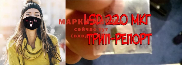 мдпв Болохово