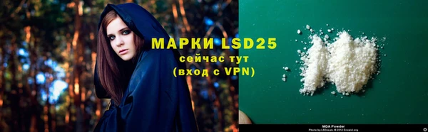 прущие грибы Няндома