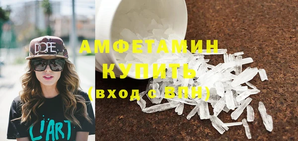 прущие грибы Няндома