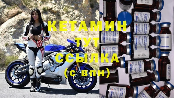 гашик Новодвинск