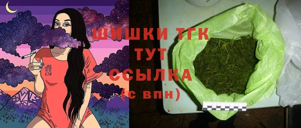 прущие грибы Няндома