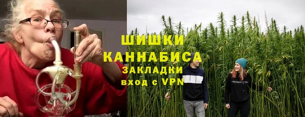 ГАЛЛЮЦИНОГЕННЫЕ ГРИБЫ Болхов