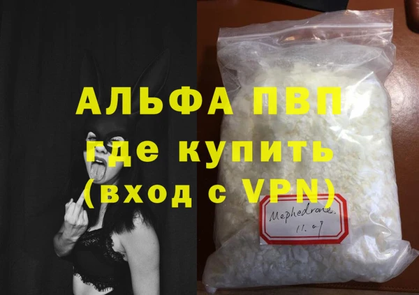 прущие грибы Няндома