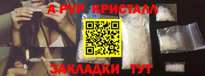 прущие грибы Канаш