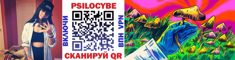 Галлюциногенные грибы Psilocybe гидра tor Нарьян-Мар