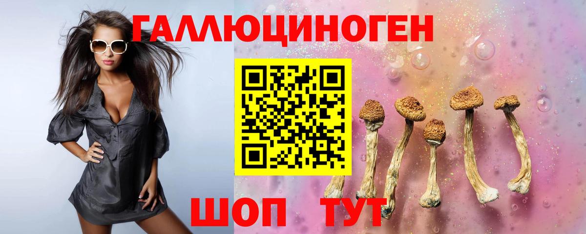 Нарьян-Мар  Галлюциногенные грибы мухоморы  Вход с VPN 