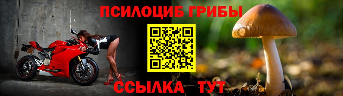 Псилоцибиновые грибы Psilocybe  Нарьян-Мар  Галлюциногенные грибы GOLDEN TEACHER 